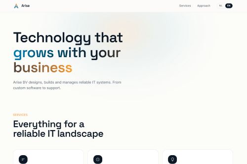 Screenshot van de website van Arise